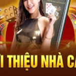 K8 – Sân chơi cá cược đổi thưởng uy tín hàng đầu châu Á