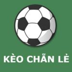 Kèo chẵn lẻ – Tìm hiểu cách chơi kèo chẵn lẻ từ các cao thủ