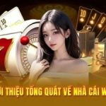 W88 – Trang cá cược trực tuyến uy tín, đẳng cấp nhất