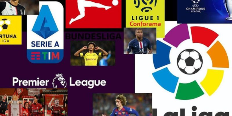 Cập nhật tỷ số trực tiếp từ các giải đấu uy tín, hàng đầu